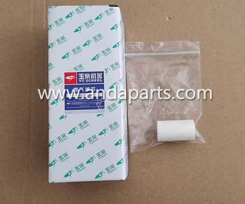 الصين مرشح الغاز الطبيعي المكثف من جودة جيدة مرشح غاز لـ YUCHAI J5700-11132B5 المزود
