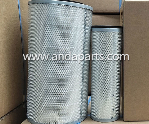 الصين مرشح هواء عالي الجودة لحرس الأسطول AF8200069 المزود