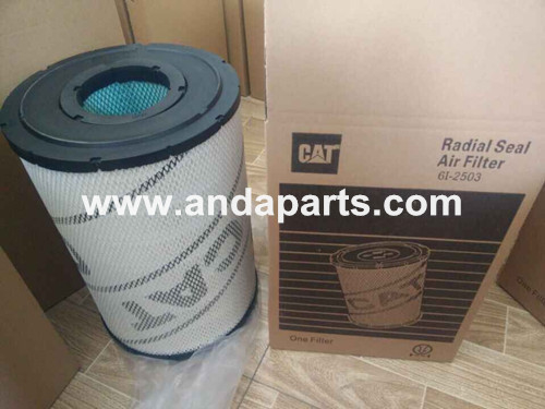 مرشح الهواء للدبابير من جودة جيدة 6I2503 6I2504 المزود